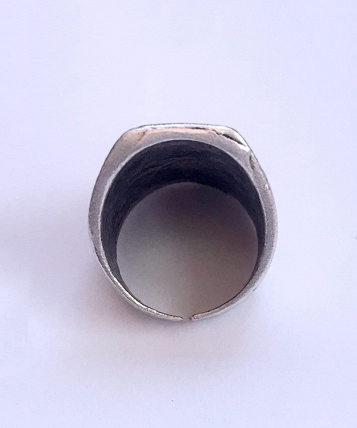 The WREN Ring